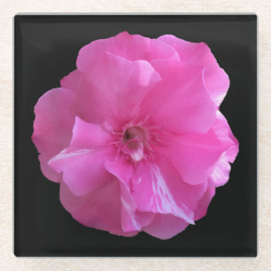 Rosa Blossom Glasuntersetzer
