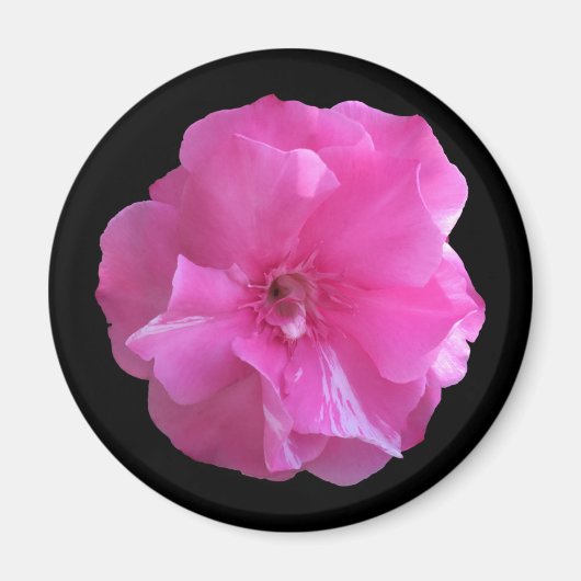 Rosa Blossom Magnet (Vorne)