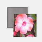 Rosa Blossom Magnet (Vorderseite/Rückseite)
