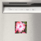 Rosa Blossom Magnet (In Situ (Geschirrspüler))