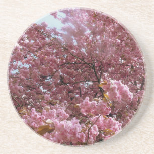 Rosa Blossom Tree Untersetzer