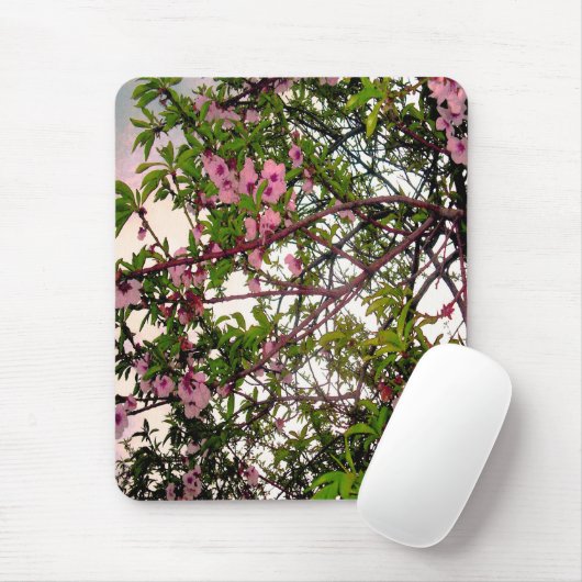 Rosa Blossom Tree Wasserfarbe, Mousepad (Mit Mouse)