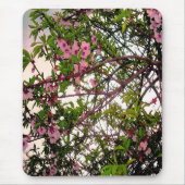 Rosa Blossom Tree Wasserfarbe, Mousepad (Vorne)