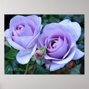 Rosa Blue Bajou [Archive Heavy Weight Paper] Poster