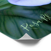 Rosa Blue Bajou [Archive Heavy Weight Paper] Poster (Ecke)