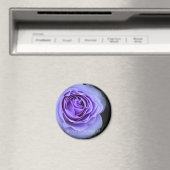 Rosa Blue Bajou Magnet (In Situ (Geschirrspüler))