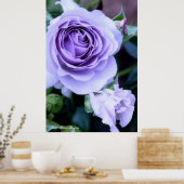Rosa Blue Bajou Poster (Küche)