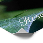 Rosa Blue Bajou Poster (Ecke)