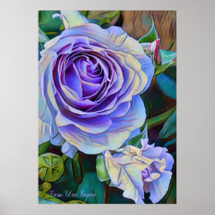 Rosa Blue Bajou [Poster] Poster