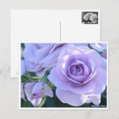 Rosa Blue Bajou Postkarte (Vorne/Hinten)