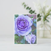 Rosa Blue Bajou Postkarte (Stehend Vorderseite)