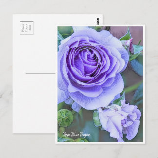 Rosa Blue Bajou Postkarte