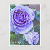 Rosa Blue Bajou Postkarte (Vorderseite)