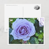Rosa Blue Bajou Postkarte (Vorne/Hinten)