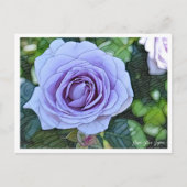 Rosa Blue Bajou Postkarte (Vorderseite)