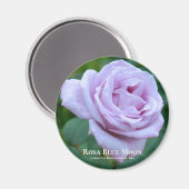 Rosa Blue Mond Magnet (Vorderseite/Rückseite)