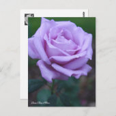 Rosa Blue Moon [Postcard] Postkarte (Vorne/Hinten)