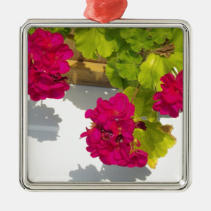 Rosa blühende Blume Pink Geranium Silbernes Ornament