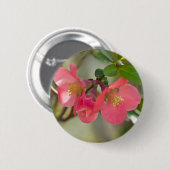 Rosa blühende Quitte Glow Button (Vorne & Hinten)