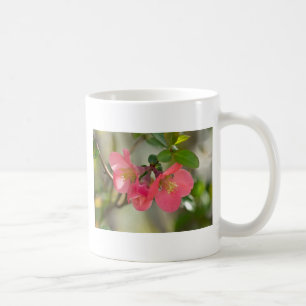 Rosa blühende Quitte Glow Kaffeetasse