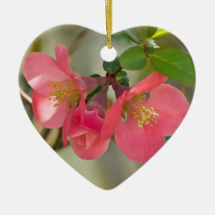 Rosa blühende Quitte Glow Keramikornament