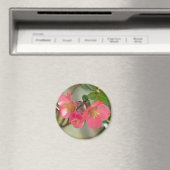 Rosa blühende Quitte Glow Magnet (In Situ (Geschirrspüler))