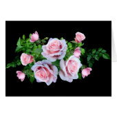 Rosa blühende Rose (Vorderseite (Horizontal))