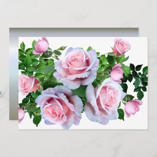 Rosa blühende Rose (Vorne/Hinten)