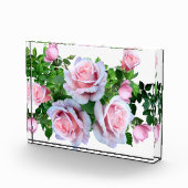 Rosa blühende Rose Fotoblock (Rechts)