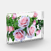 Rosa blühende Rose Fotoblock (Links)