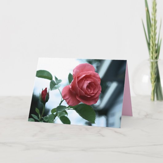 Rosa blühende Rose Glückwunschkarte der Mutter Karte (Vorderseite)