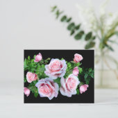 Rosa blühende Rose Postkarte (Stehend Vorderseite)