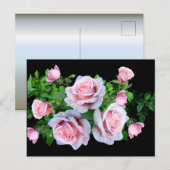 Rosa blühende Rose Postkarte (Vorne/Hinten)