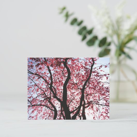 Rosa blühende, schleichende, wilde Postkarte (Stehend Vorderseite)