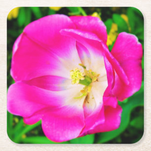 Rosa blühende Wildblume - Untersetzer