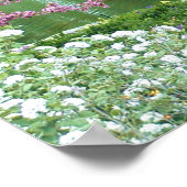 Rosa blühender Baum über Wasser Poster (Ecke)