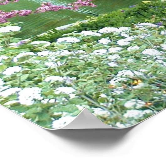 Rosa blühender Baum über Wasser Poster (Ecke)