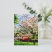 Rosa blühendes Dogwood Postkarte (Stehend Vorderseite)