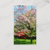 Rosa blühendes Dogwood Visitenkarte (Rückseite)