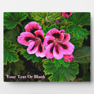 Rosa Blume 1 Fotoplatte