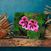 Rosa Blume 1 Fotoplatte (Seite)