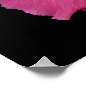 Rosa Blume 24 x 24 Poster (Ecke)