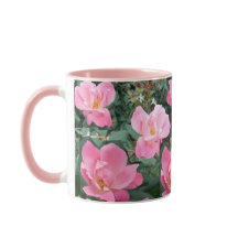 Rosa Blume 2 Tasse