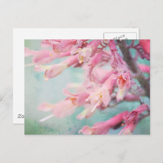 Rosa Blume auf Aqua-Hintergrund Postkarte (Vorne/Hinten)