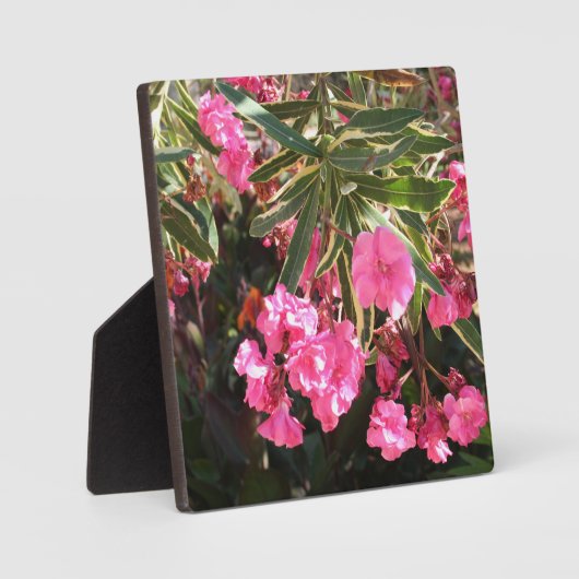 Rosa Blume auf dem Baum Fotoplatte (Vorderseite)