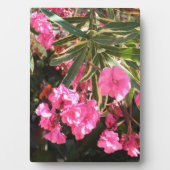 Rosa Blume auf dem Baum Fotoplatte (Vorderseite)