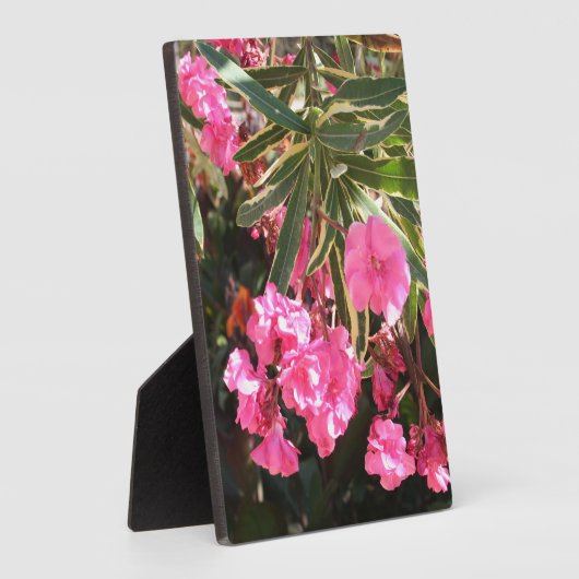 Rosa Blume auf dem Baum Fotoplatte (Seite)