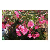 Rosa Blume auf dem Baum Poster (Vorderseite)