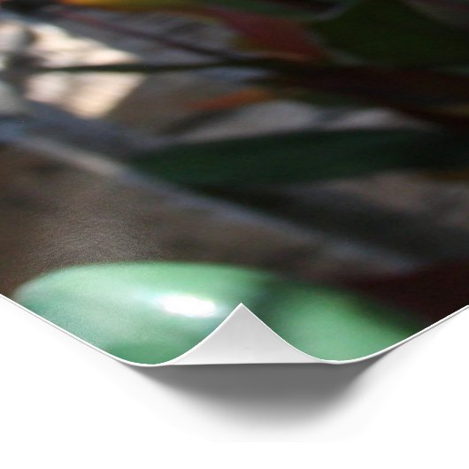 Rosa Blume auf dem Baum Poster (Ecke)