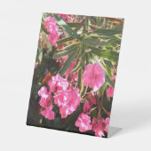 Rosa Blume auf dem Baum Sockelschild (Vorderseite)